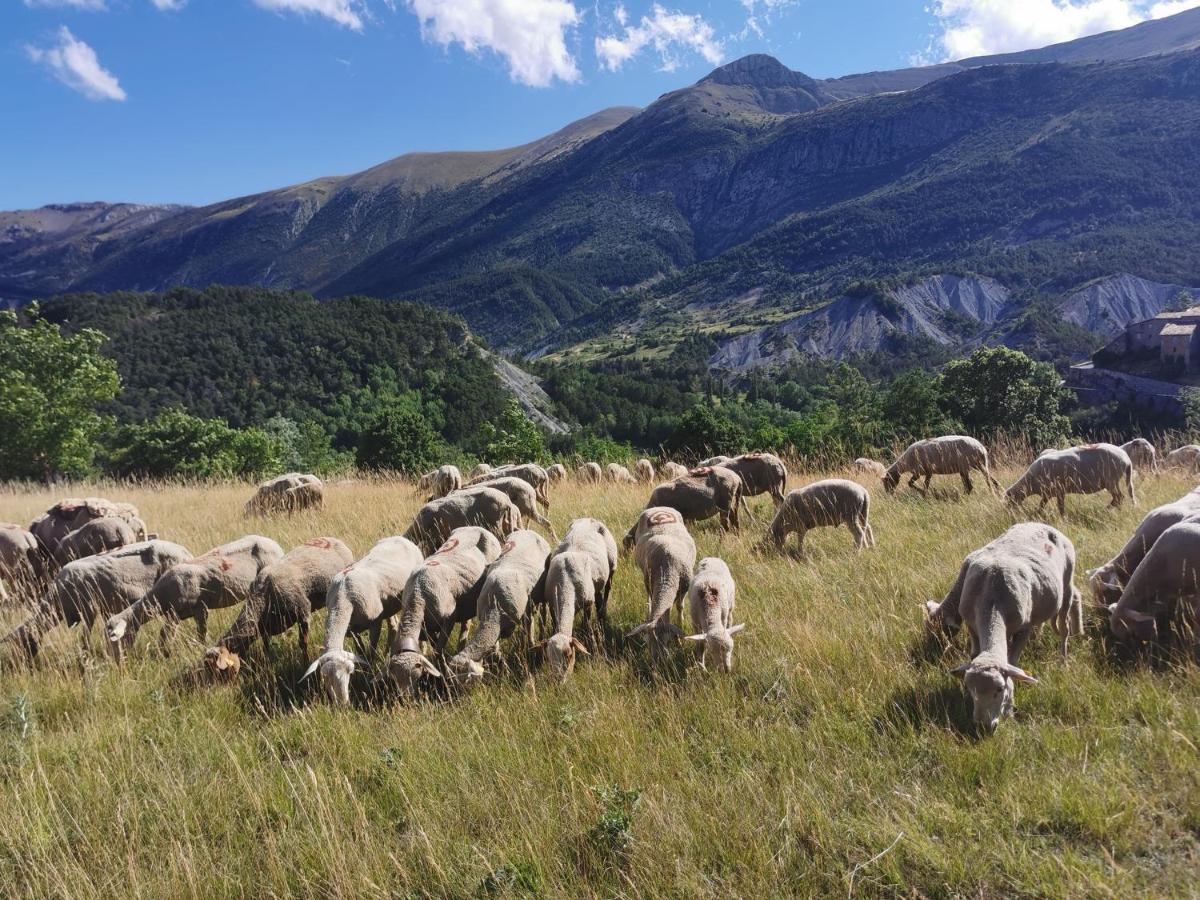 La Peyregoune, Logement En Pleine Nature Et Table D'Hotes Blieux Exterior foto